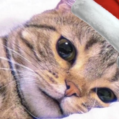 深藏blue的干饭人jc15