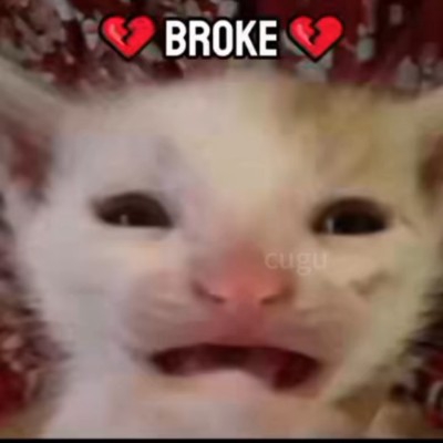 cx330