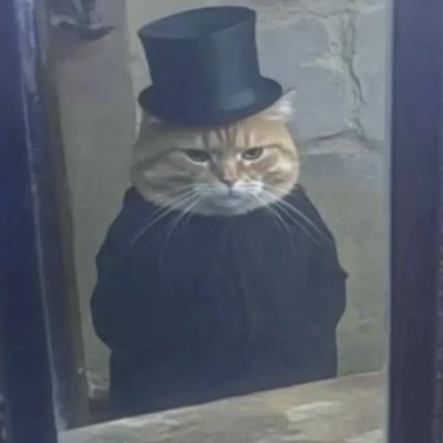 永远吃不饱的兔子尾巴cr5