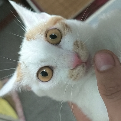 樂