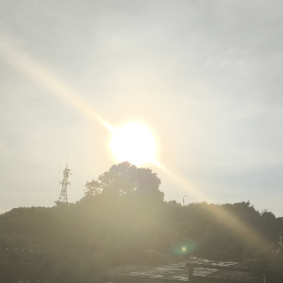十二月夏雨