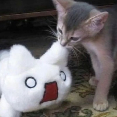 褪色番茄