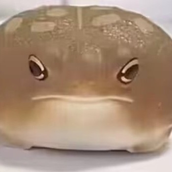 呱呱
