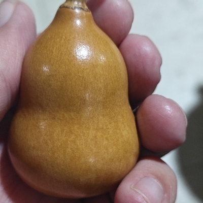 南山必胜客