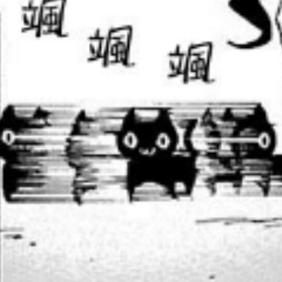反复横跳的黑猫