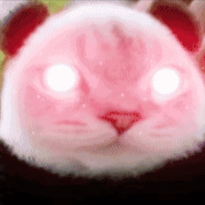 神人加速器