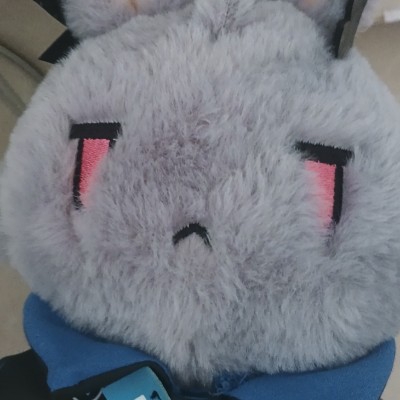 师父下山了