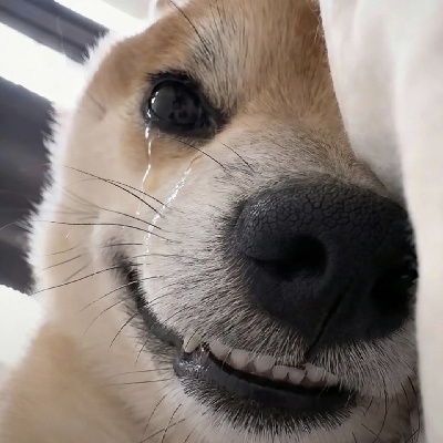 穿上富江