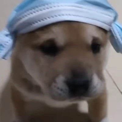 古巷里边炒鸡蛋