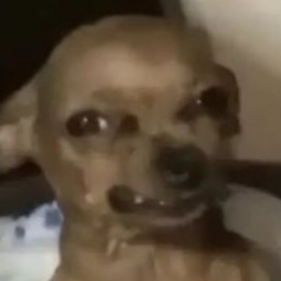 彳    亍