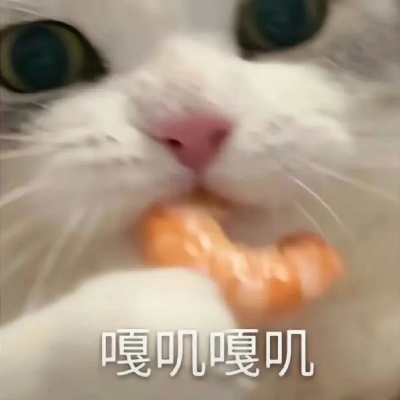 圆子上仙