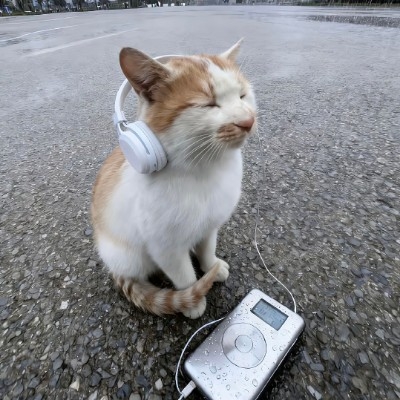 传说中的边狱巴士