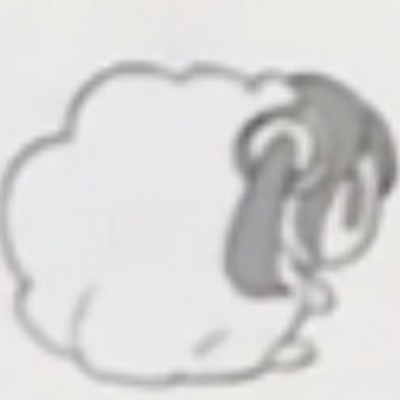 黎黎黎黎昕