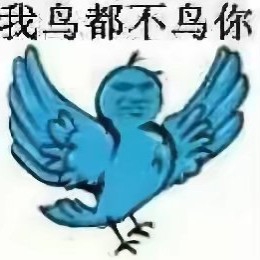 对阿帕茨威风堂堂