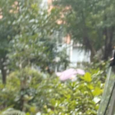 三好学生每天剁手