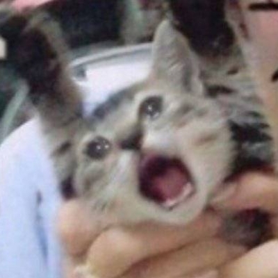 起名真难