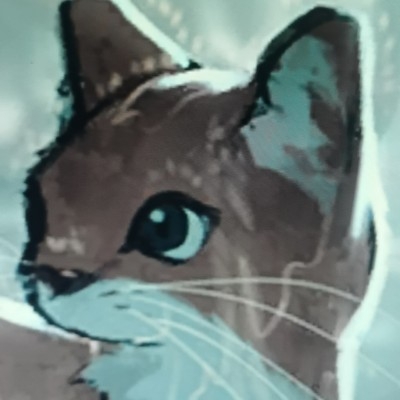 不是你45五负面