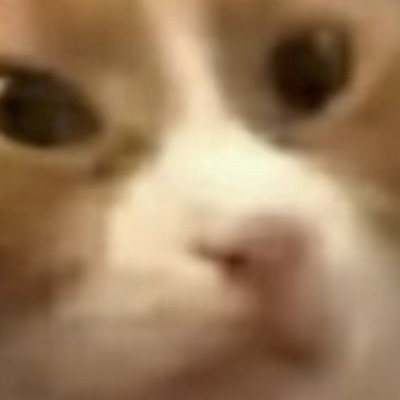 lsh