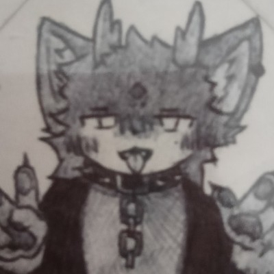 猫头鹰爱打音游