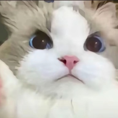 不知道叫什么好