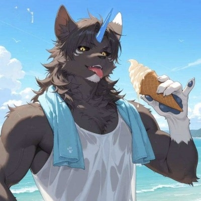 努力发光的黑衣人vpx5