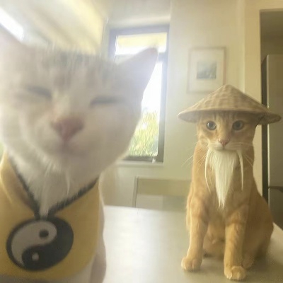 鸢宏