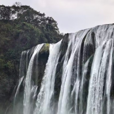 领袖夺得DGP冠军a7