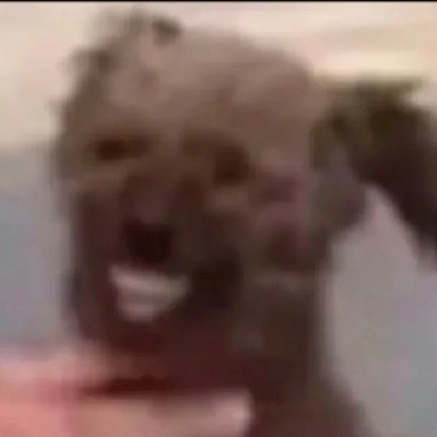 我的速度很快