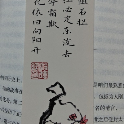 牛油果奶昔开始爆破qe463