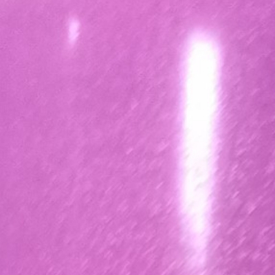 蛏子