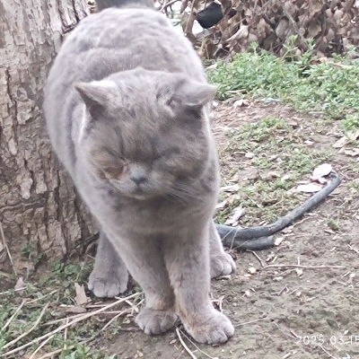 四方静水