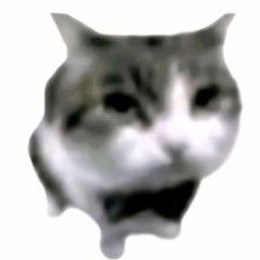 名字五个字