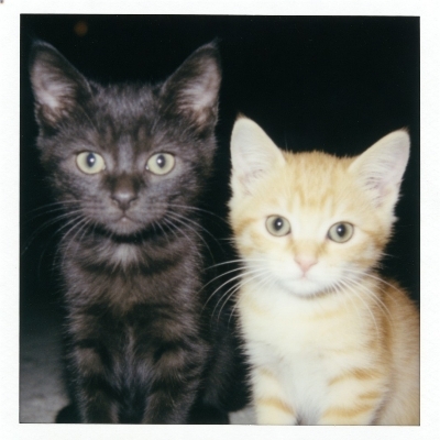 战争雷霆老玩家