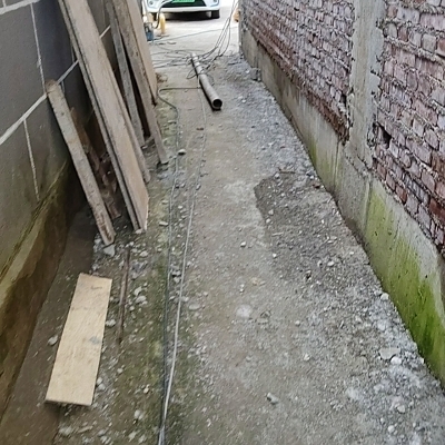 顺