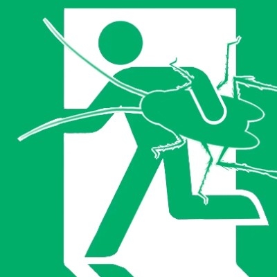 宝贝儿会发光uyd939