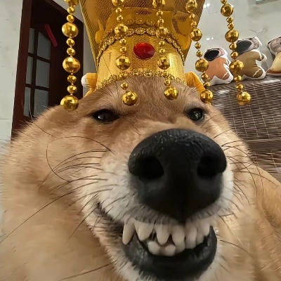 什么时候可以进步