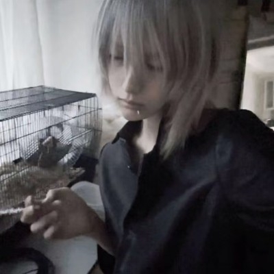 溯淮