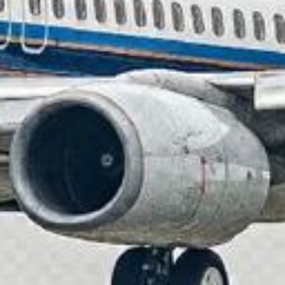 葡萄籽鲤鱼打挺xf58