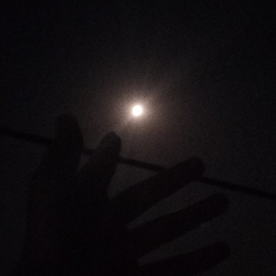 雅努西娅