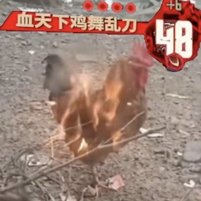 柚子不会这个
