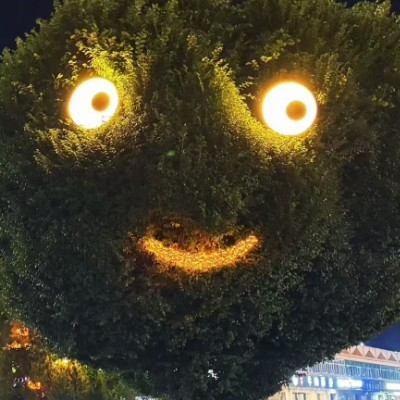 爱吃榴莲的哈士奇