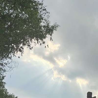 孵蛋器下凡冲浪ab5