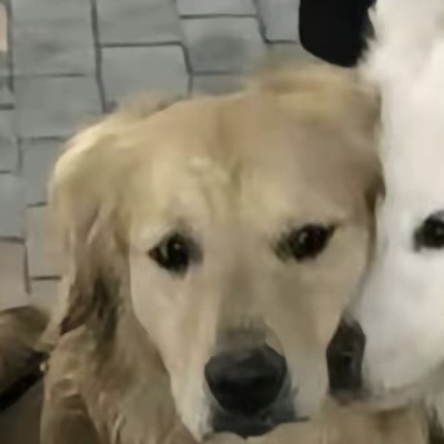 今日方知我是我