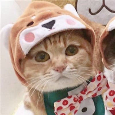 はじぬまして