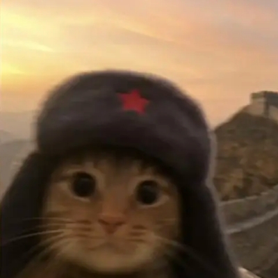 枸杞泡什么