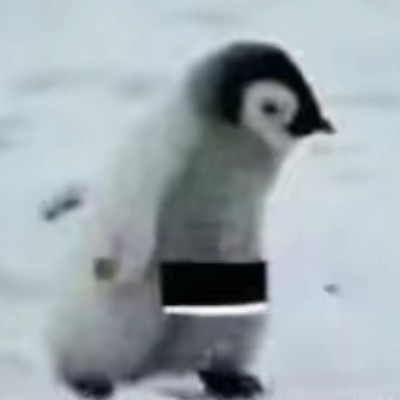 蔚蓝企鹅
