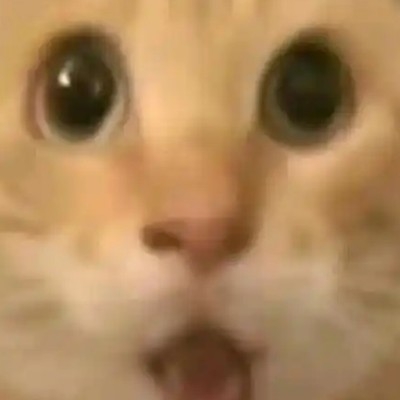 哈气