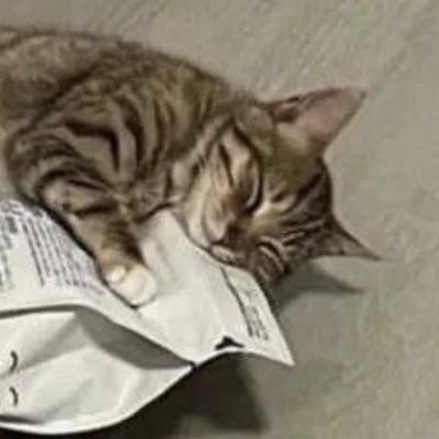 咕咕