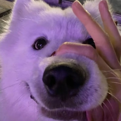 乱尘烟