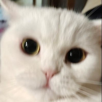 草莓味人造肉uz250